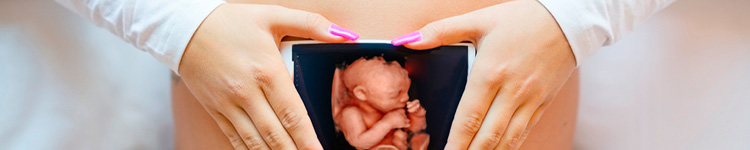 3D УЗИ беременности в Митино